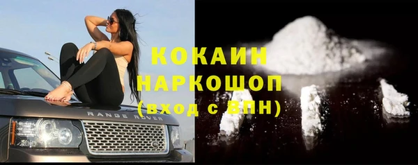 мет Новозыбков