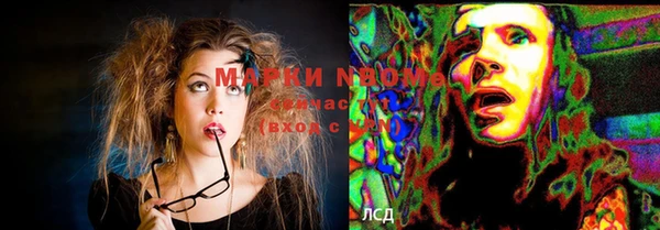 мет Новозыбков