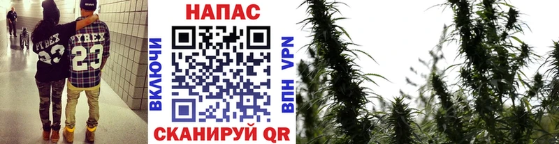 kraken рабочий сайт Приволжский МАРИХУАНА SATIVA & INDICA